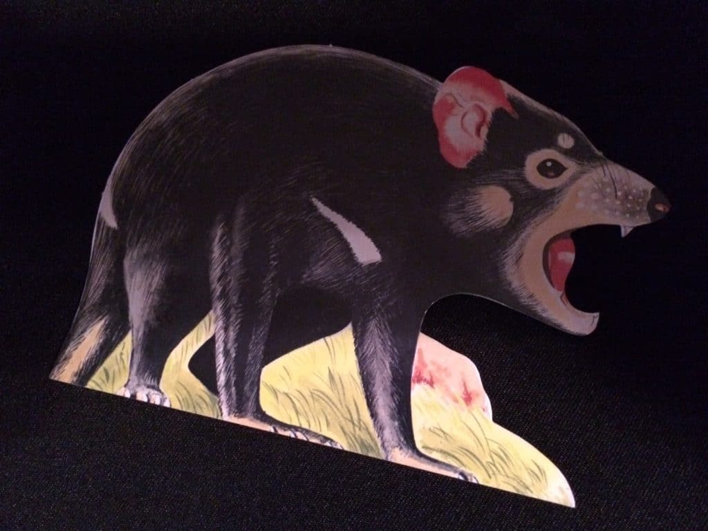 Taz - Tasmanischer Teufel, Tasmanien, Postcard of the Week