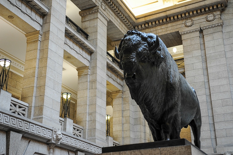 Büffel im Manitoba Legislative Building