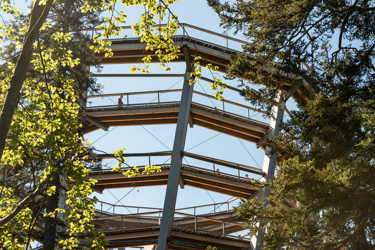 Ein spiralförmiger, erhöhter Gehweg windet sich zwischen hohen Bäumen in die Höhe. Das Sonnenlicht fällt durch die grünen Blätter und wirft ein schummriges Licht auf die Menschen, die unter dem blauen Himmel in diesem bewaldeten Gebiet spazieren gehen.
Foto: Simon Bierwald/Indeed Photography