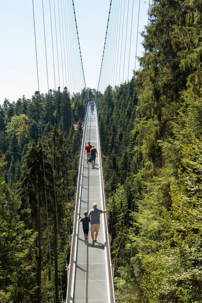 Menschen gehen über eine lange, schmale Hängebrücke am Baumwipfelpfad hoch über einem dichten grünen Wald. Die Brücke erstreckt sich in die Ferne, flankiert von hohen Bäumen unter einem klaren blauen Himmel. Einige halten sich an den Geländern fest, während sie die WildLine überqueren.
Foto: Simon Bierwald/Indeed Photography