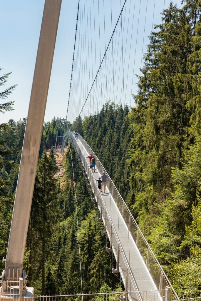 Die Hängebrücke WildLine überspannt ein tiefes, bewaldetes Tal, wenn man auf ihrem Metallsteg entlangläuft. Gestützt von Seilen und umgeben von hohen grünen Kiefern steht sie unter einem klaren blauen Himmel.

Foto: Simon Bierwald/Indeed Photography