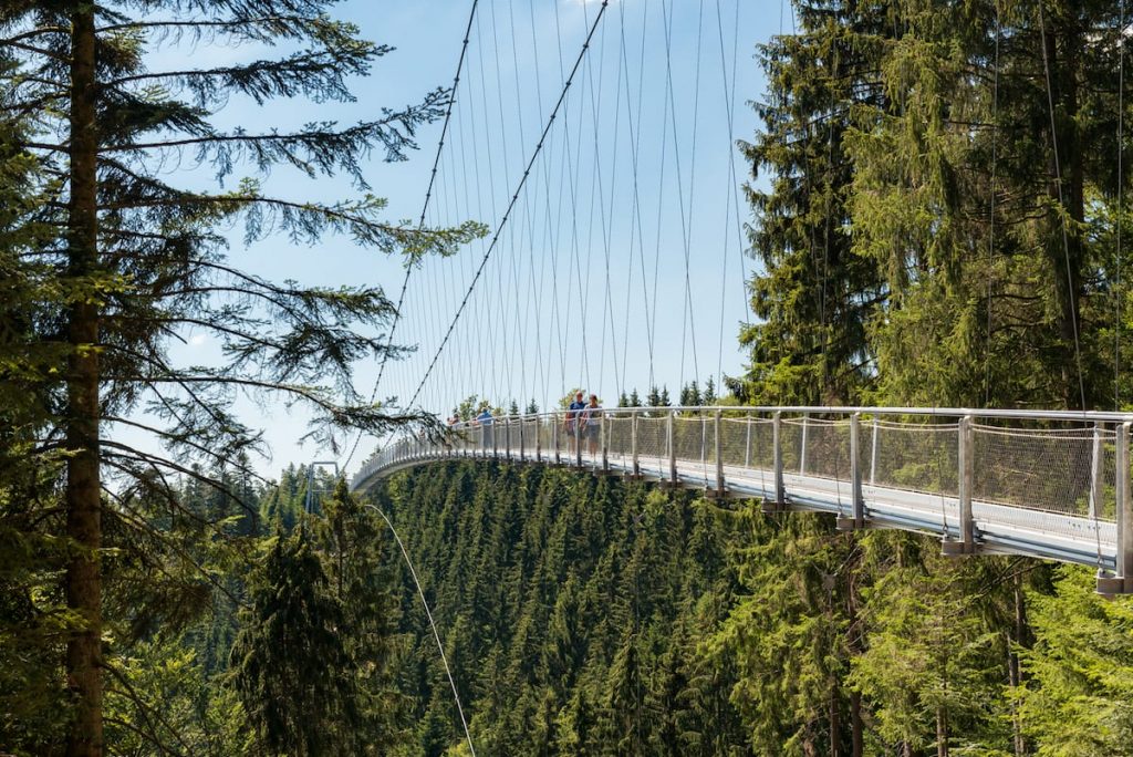 Die geschwungene Hängebrücke WildLine spannt sich an einem sonnigen Tag hoch über die dichten, grünen Baumkronen des Waldes. Mehrere Personen spazieren auf der Brücke mit den transparenten Seitengeländern entlang und genießen die malerische Aussicht auf den Wald inmitten hoher Kiefern.

Foto: Simon Bierwald/Indeed Photography