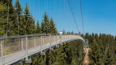 Eine Person steht auf der langen Hängebrücke WILDLINE im Nordschwarzwald, die sich über einen Wald mit hohen, grünen Kiefern erstreckt. Die Brücke, die an die auf dem Baumwipfelpfad zu findenden erinnert, besteht aus Metall und Kabeln, ist gewölbt und wird von zahlreichen Drahtseilen getragen. Der Himmel ist klar und blau und trägt zur malerischen Schönheit der Landschaft bei. Foto: Simon Bierwald/Indeed Photography