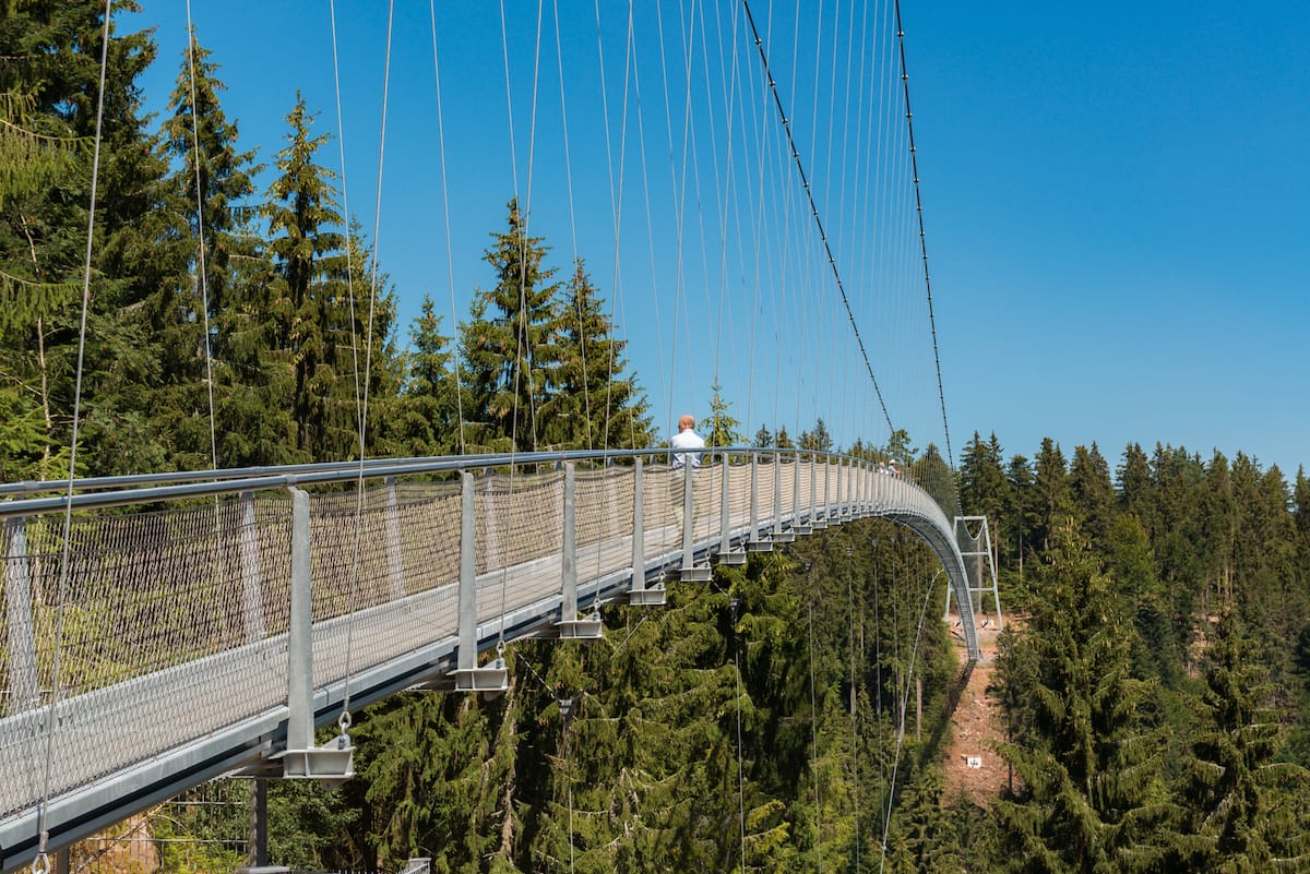 Eine Person steht auf der langen Hängebrücke WILDLINE im Nordschwarzwald, die sich über einen Wald mit hohen, grünen Kiefern erstreckt. Die Brücke besteht aus Metall und Kabeln, ist gewölbt und wird von zahlreichen Drahtseilen getragen. Der Himmel ist klar und blau und trägt zur malerischen Schönheit der Landschaft bei. Foto: Simon Bierwald/Indeed Photography