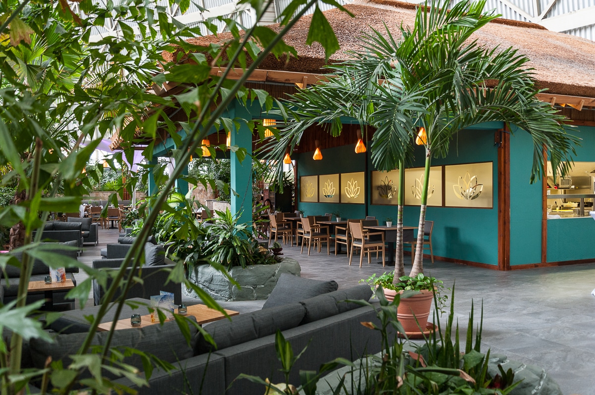 Tropical Garden