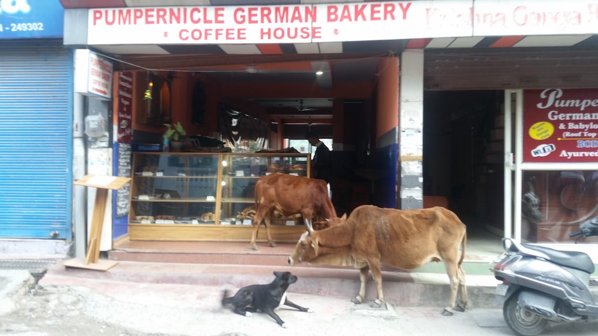 German Bakery