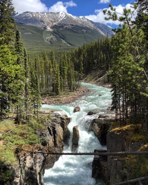Sunwapta Falls