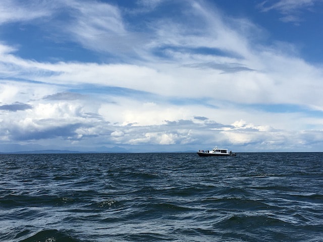 Vor Vancouver - Whale Watching Tour
