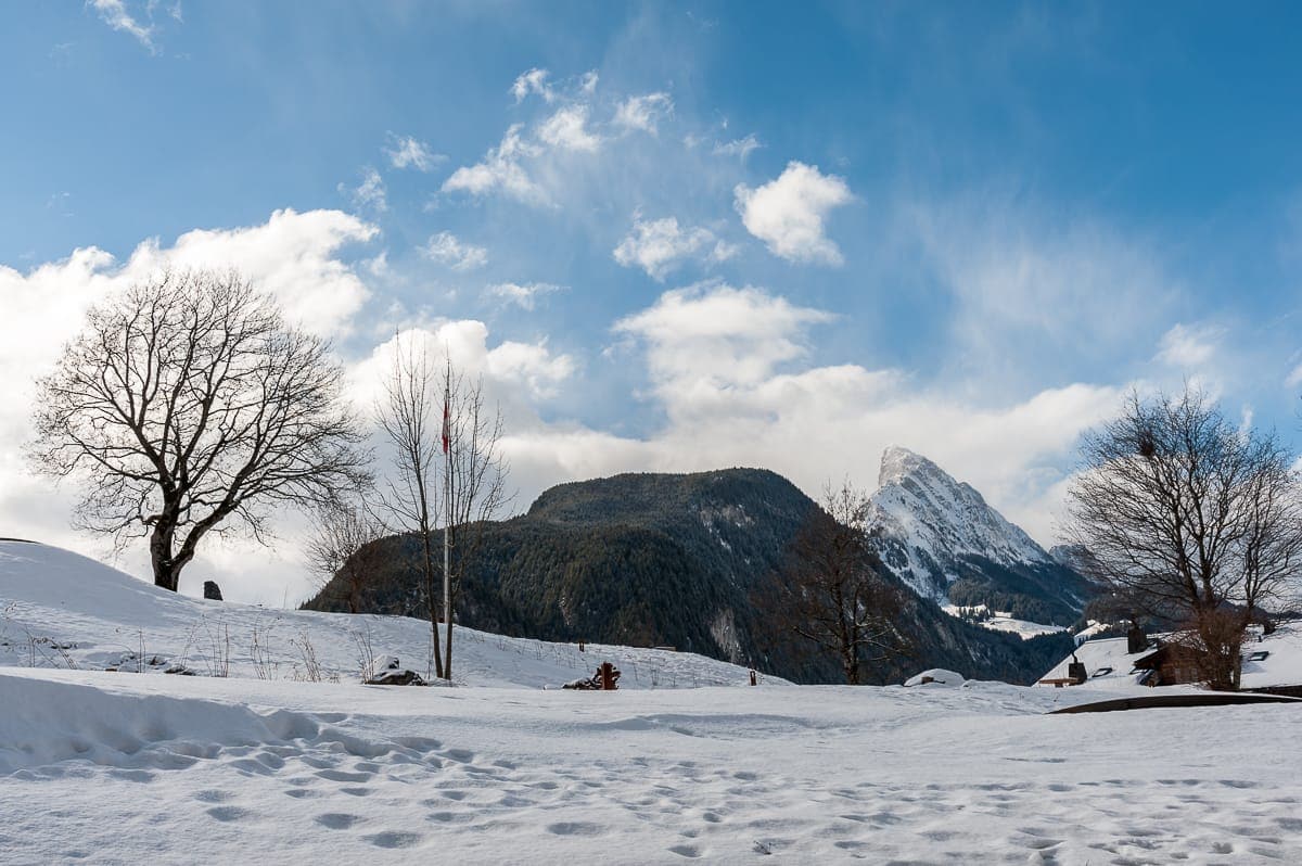 Blick auf die Schweizer Alpen aus Zimmer 602