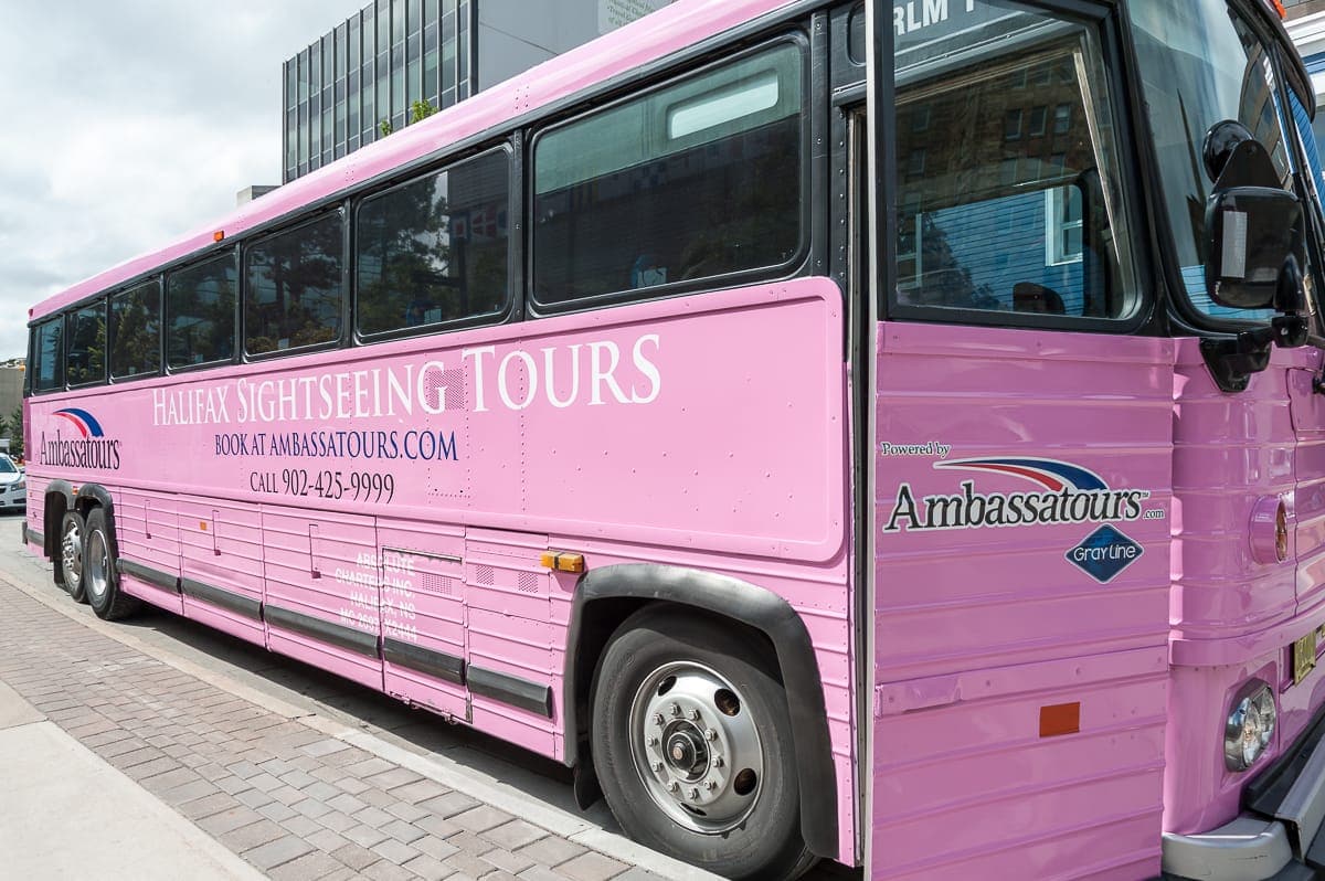 Pinkfarbener Bus von Ambassatours