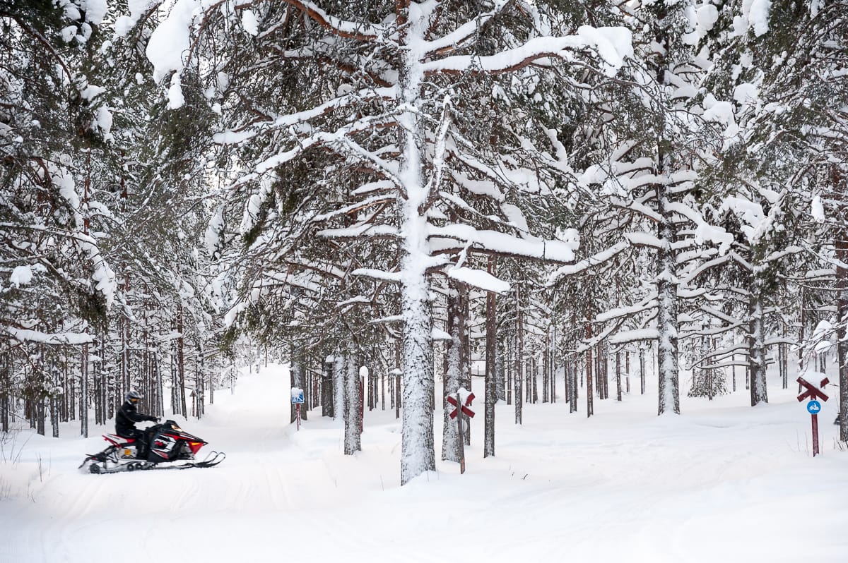 Mit dem Schneemobil durch den Wald