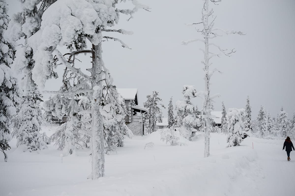 Winterlandschaft in Lappland