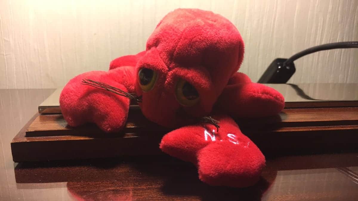 In der Form mag ich Lobster am Liebsten - und so zog Monsieur Lobstér bei uns ein. ;)