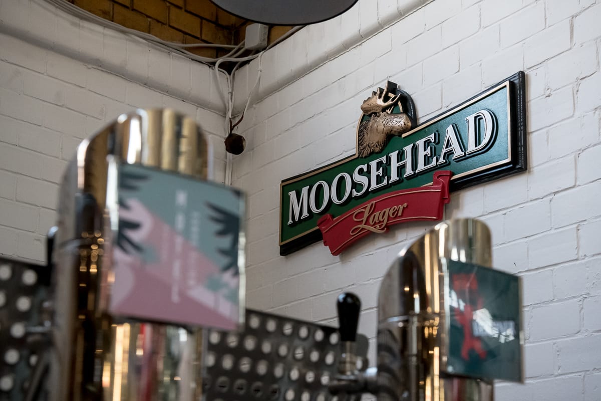 Hier gibt es Moosehead Lager