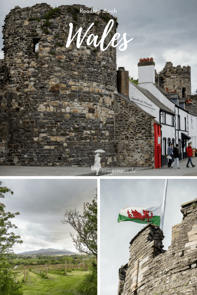 Pinterestgraphik Wales Roadtrip Tag 1 - ein Turm von Conwy Castle unten rechts mit walisischer Flagge, Stadtmauer mit dem kleinsten Haus oben, Weinberg in Wales links unten. 