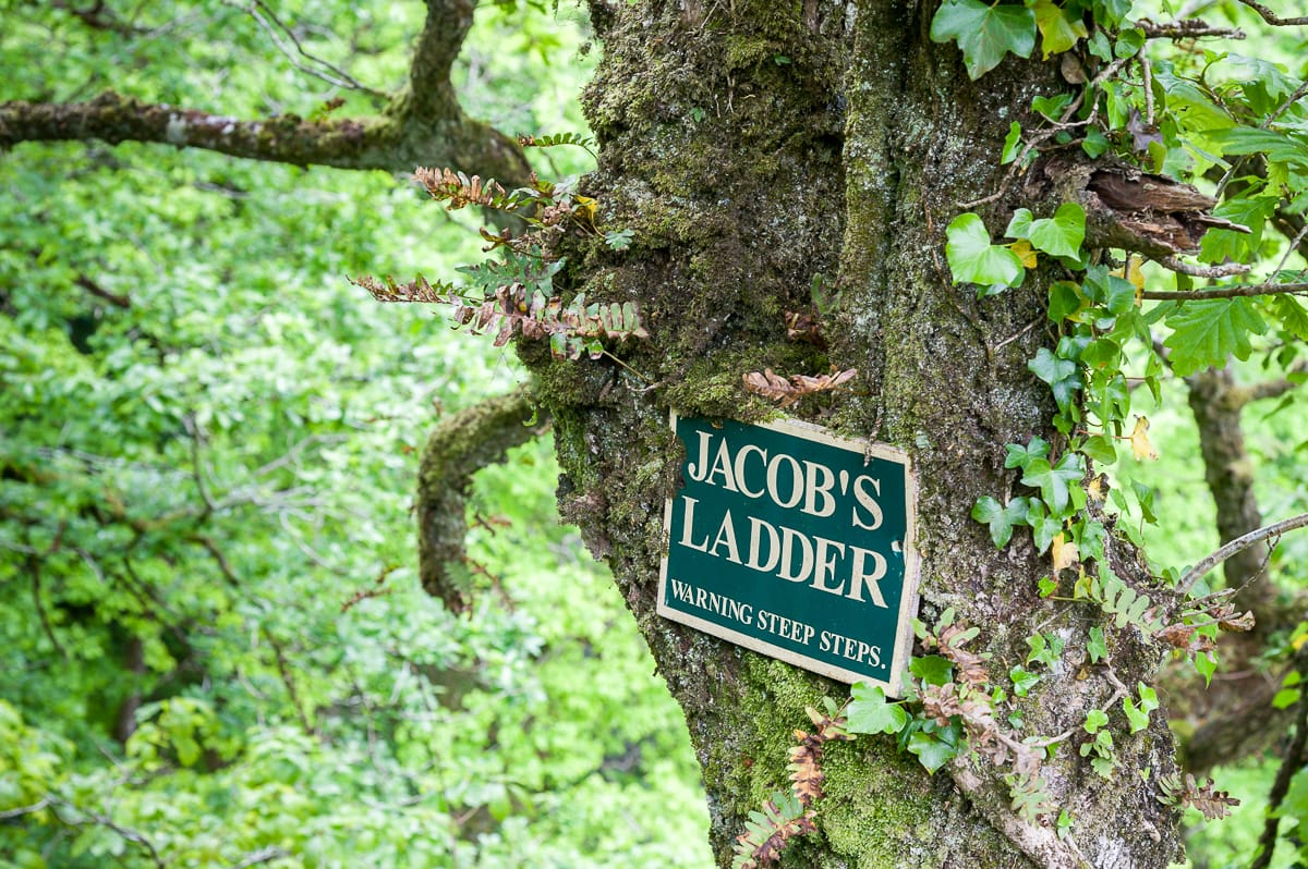 Die Ankündigung der Jakobsleiter