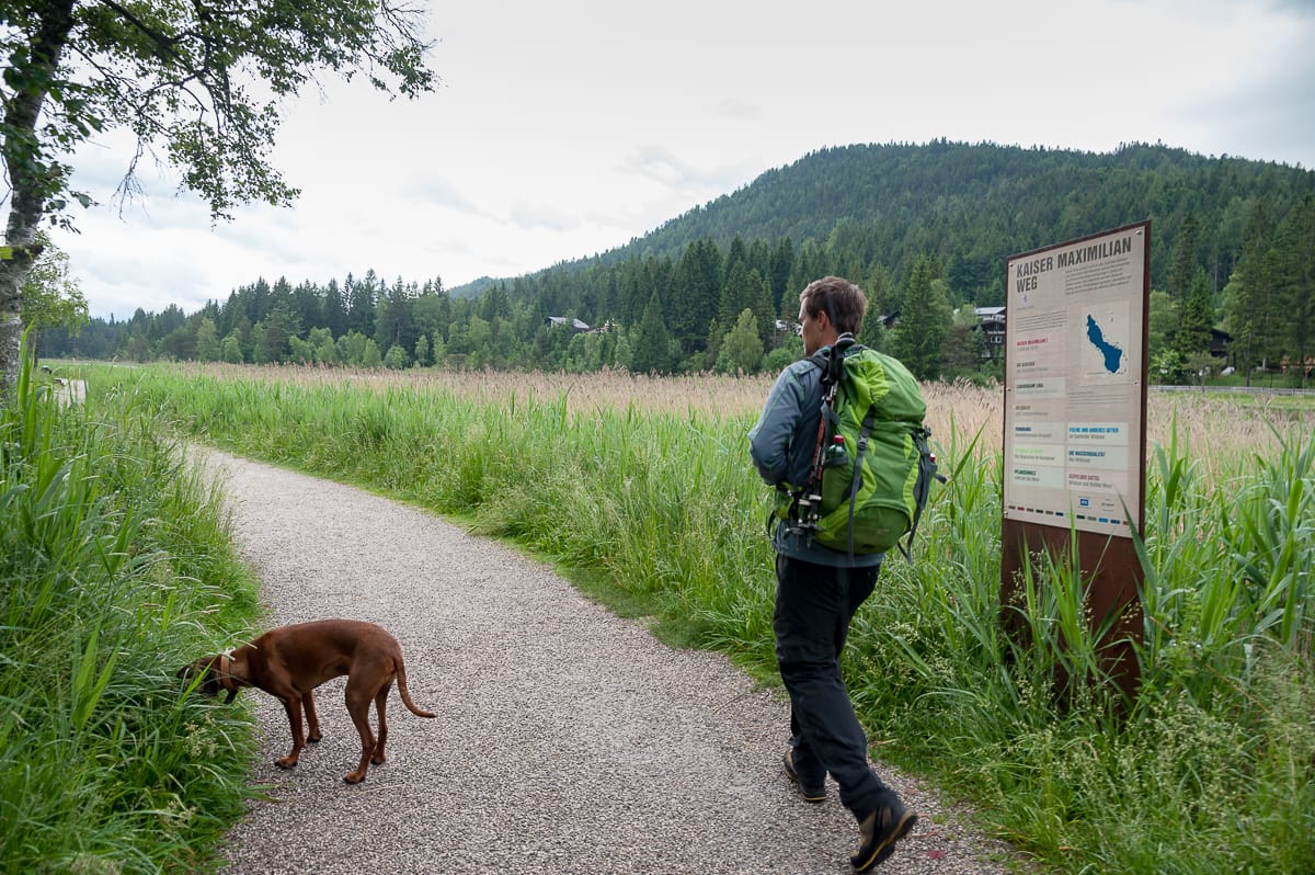 Aktivitätenguide Clemens und Hund