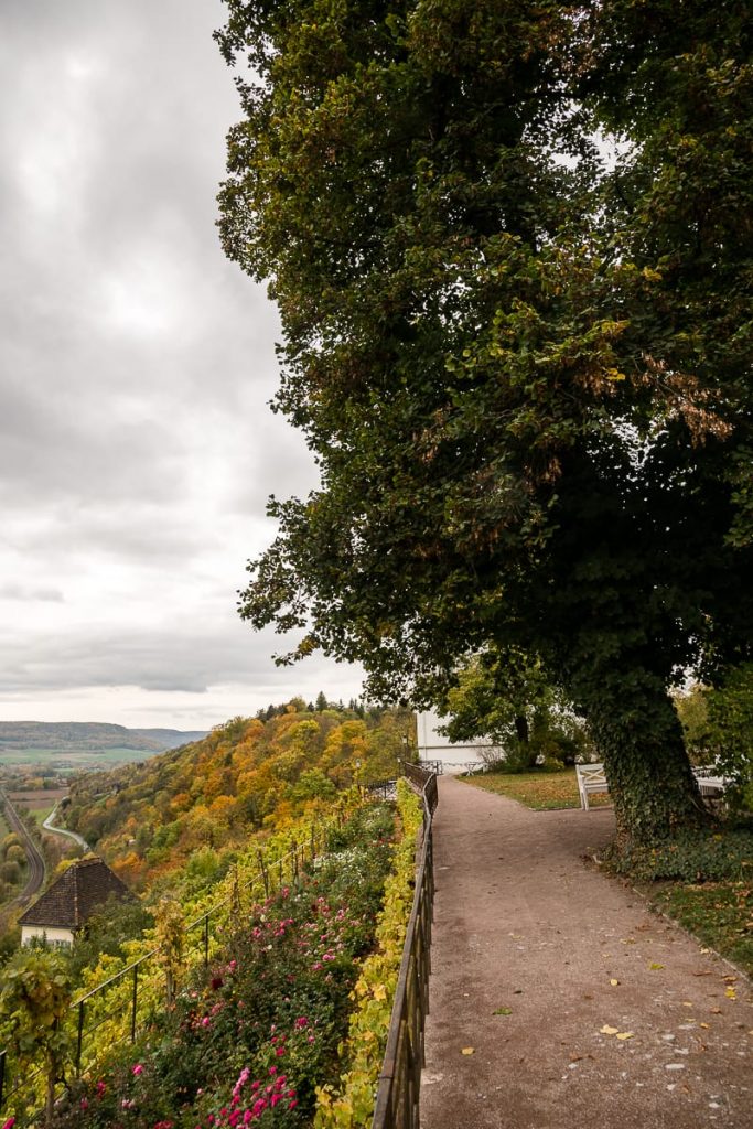 Ausblick in Dornburg