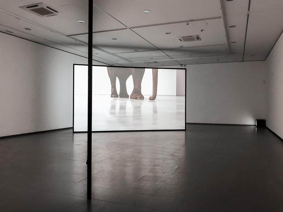 Videoinstallation von Douglas Gordon