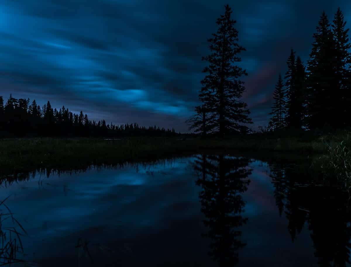 Nachts am Whirlpool Lake im Riding Mountain National Park - dunkelblau bis schwarze Silhouette eines Sees mit Bäumen.