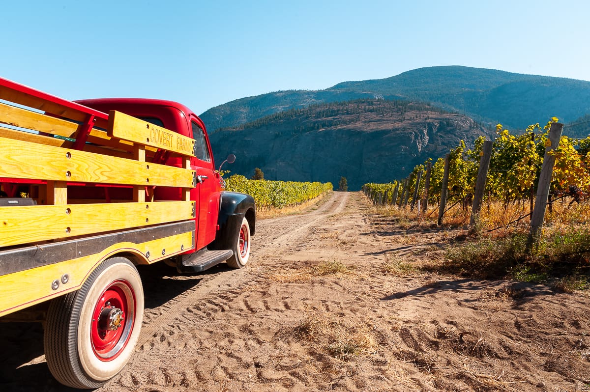 alter Transporter mit offener Ladefläche steht am Rande eines Weinberges im Okanagan Valley, BC (Kanada), im Hintergrund türmen sich die umgebenden Bergketten auf.
