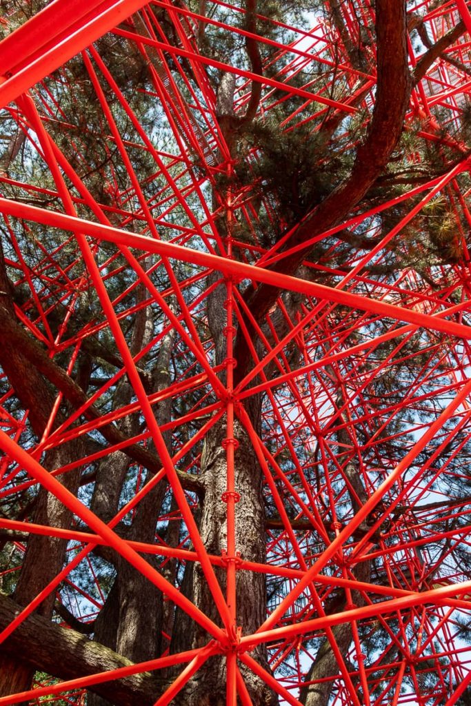 Triennale Brügge 2021 - Installation "Strangler" von Héctor Zamora um einen Baum herum im Garten des Gezellehuis. 