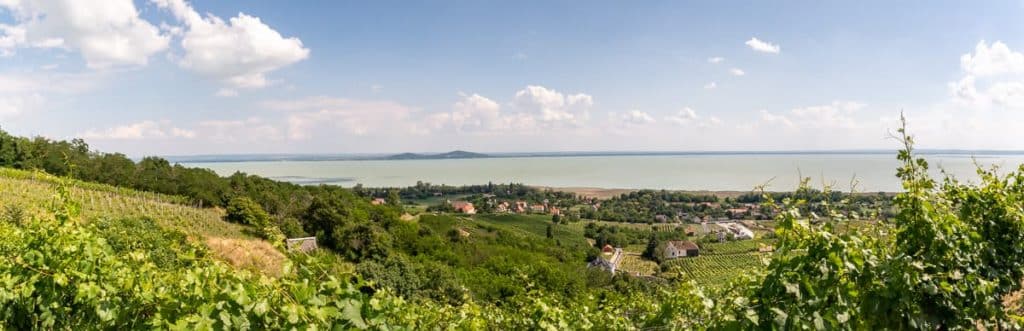 Panorama Badacsony: Laposa-Weinberg und Blick auf den Balaton.