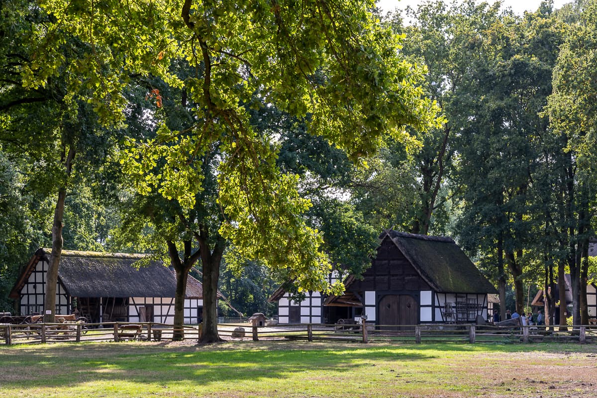 Museumshof Rahden - Blick auf die Fachwerkhäuser vom Eingang aus. große Wiese davor, hohe Bäume dazwischen.