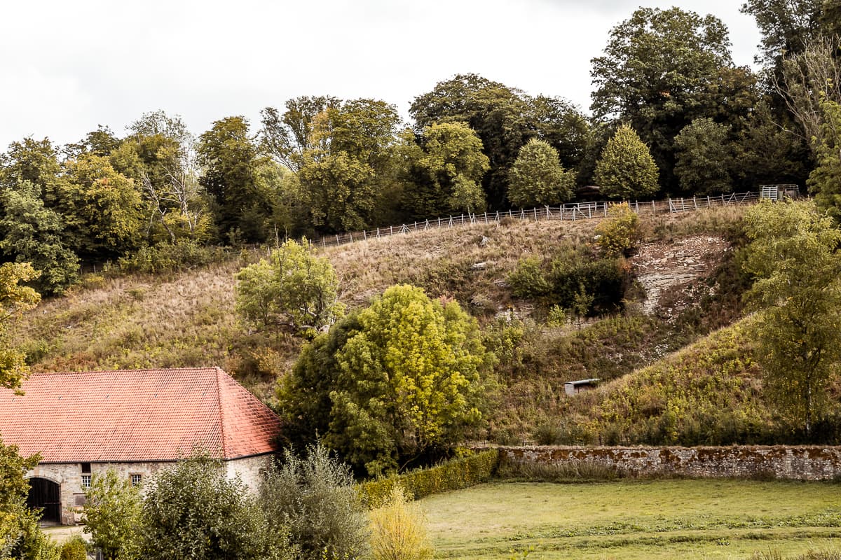 Sichtbare Überreste des Steinbruchs in der Nähe des Kloster Dalheim.