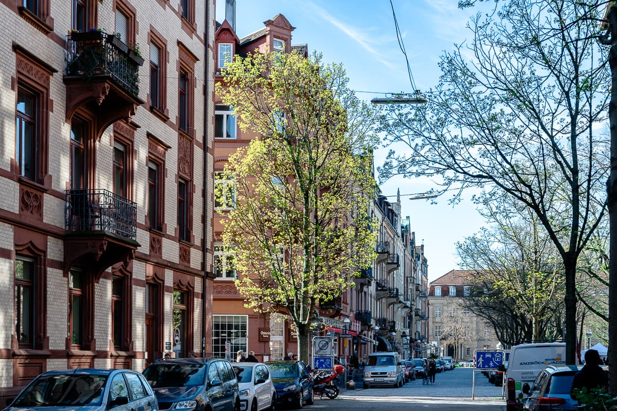 Straßenzug in der Weststadt, Karlsruhe - Gründerzeit/Jugendstil-Häuser, Autos parken davor, ein großer Baum.