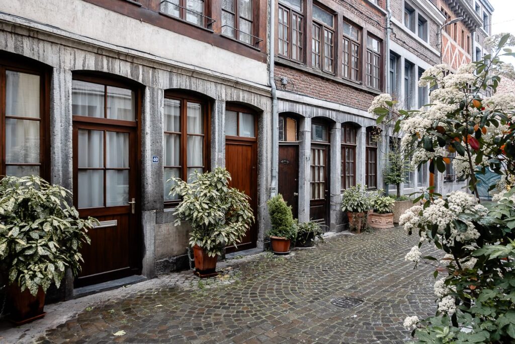 Rue des Récollets in Lüttich - Häusereingänge, maximal ein-zwei Fenster dazwischen, Pflanzen in Kübeln vor den Häusern.