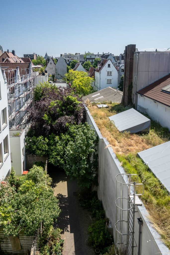Blick aus dem obersten Stock des W139-Gebäudes auf den Hinterhof.