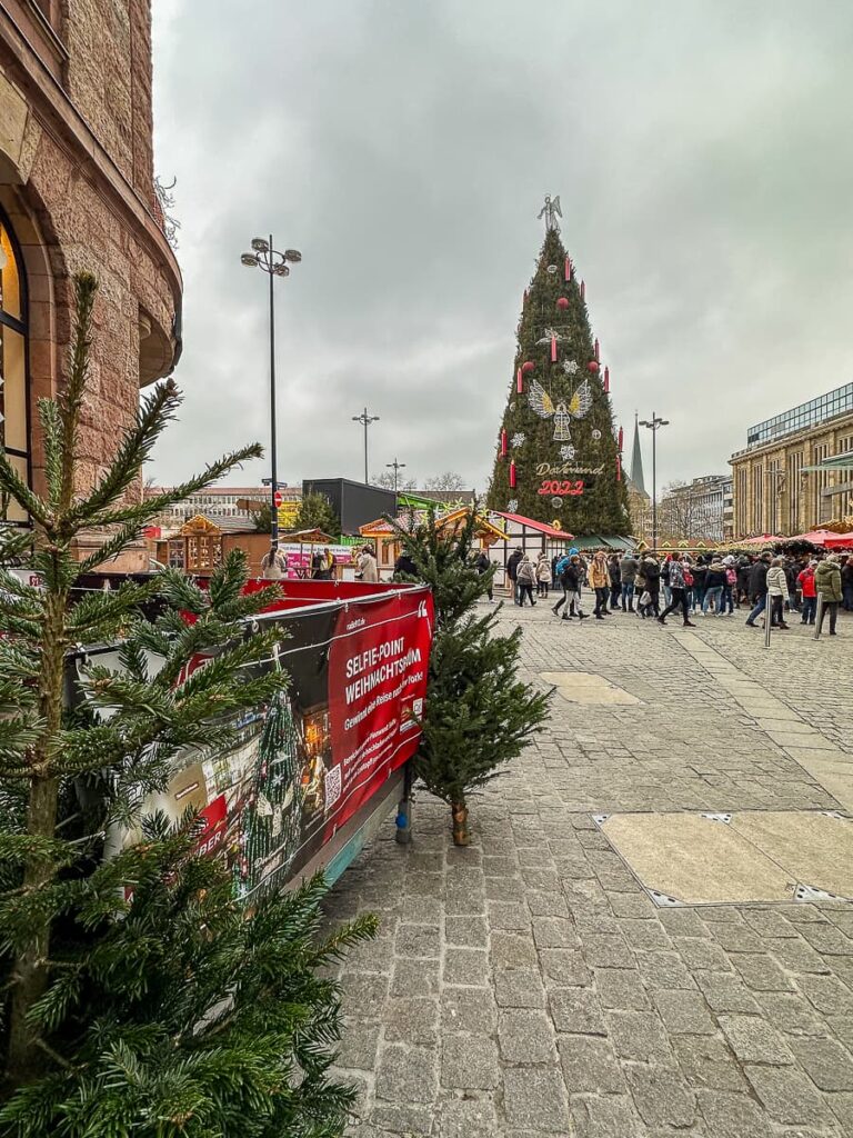 Selfie Point für den Weihnachtsbaum in Dortmund an der Ecke Brauhausstraße/Hansaplatz.