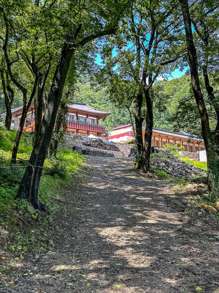 Blick auf die Cheonjinam-Eremitage des Baegyangsa-Klosters in Jeollanam-do von unten aus durch Bäume hindurch fotografiert, Weg führt nach oben.