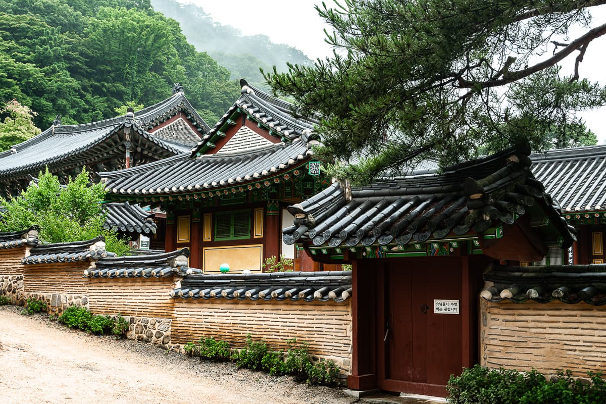 Mauer mit einem geschlossenen Eingangstor, dahinter Wohngebäude im Baegyangsa-Kloster, koreanischer Tempelbau, dahinter nebelverhangene Berge.