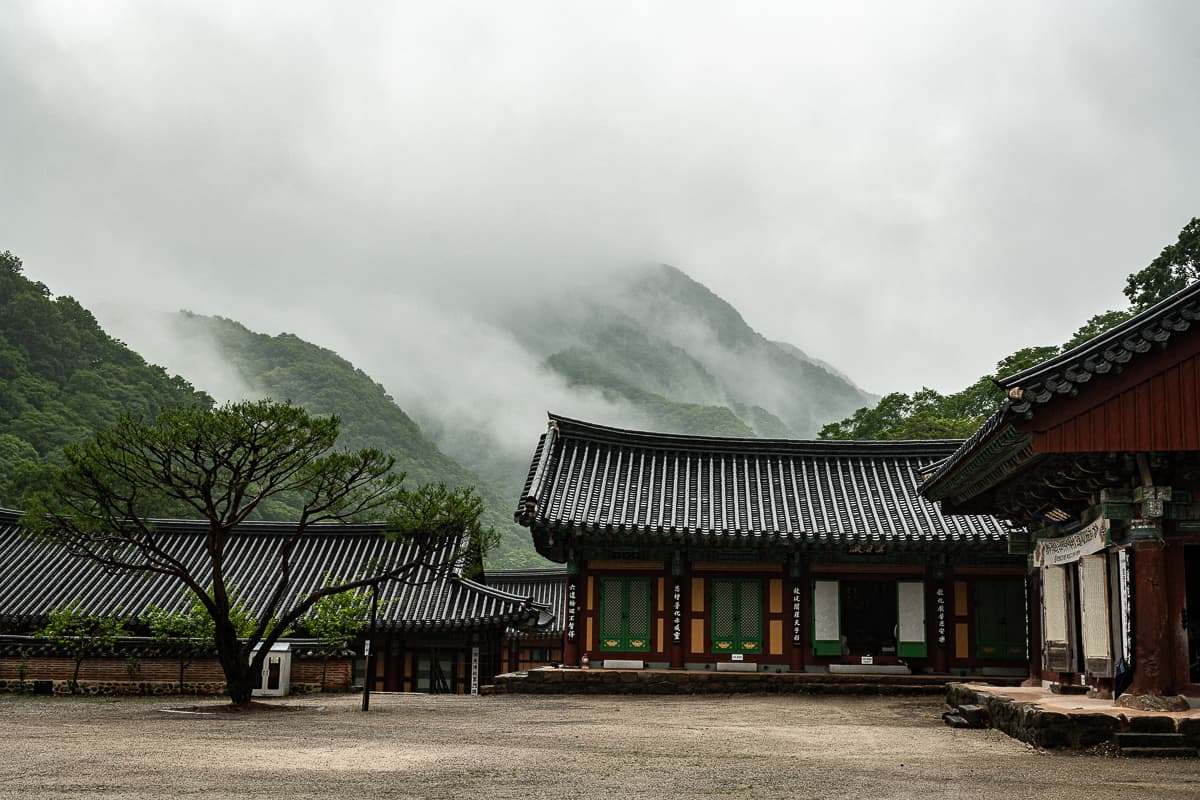 Hauptplatz des Baegyangsa Temple mit wolkenverhangenen Bergen im Hintergrund. Baum auf dem Platz, diverse Gebäude hintereinander und eins am rechten Rand.