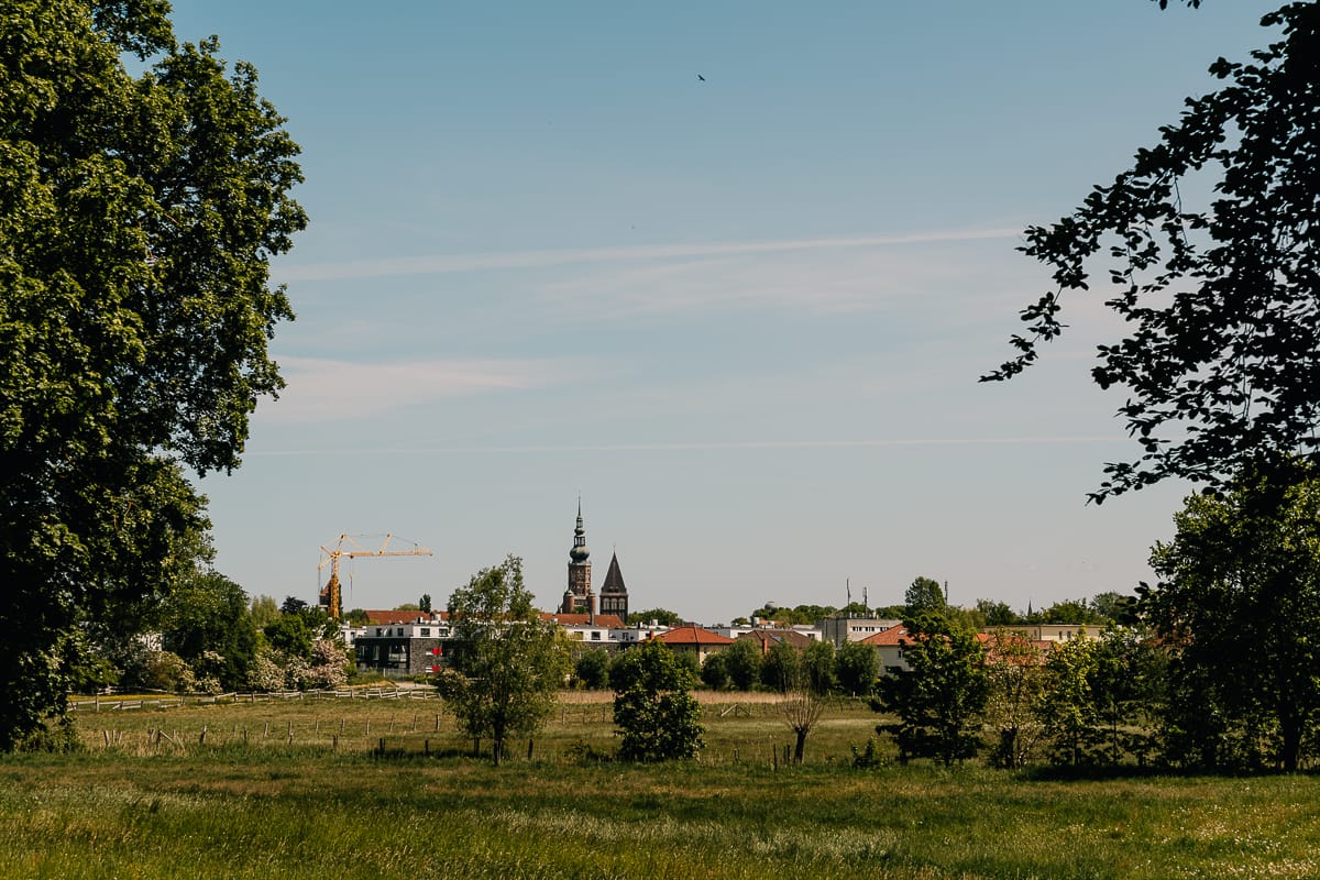 Blick über eine Wiese und zwischen zwei Bäumen hindurch auf die Silhouette von Greifswald mit zwei Kirchtürmen und einem Kran, der den dritten Turm verdeckt (2023), ähnlich dem Bild Wiesen bei Greifswald von Caspar David Friedrich, Kunsthalle Hamburg.