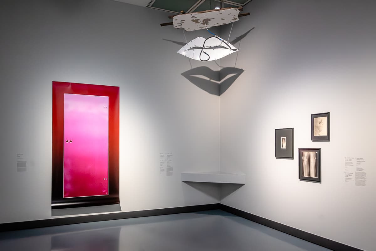 Blick ein einen Ausstellungsraum im Kunstpalast Düsseldorf bei "Size Matters" mit einer Installation über der Ecke, dem Bild "Shut The Door" von Joanna Nencek, einer Tür in Echtgröße auf Fujifotopapier an der linken Wand und an der rechten Wand Röntgenaufnahmen. 