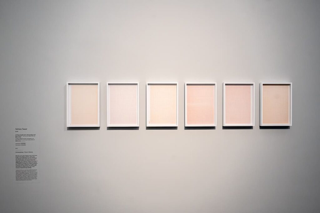 6 hochformatige Bilderrahmen in einer Reihe mit verschiedenfarbigem Millimeterpapier, wie es scheint. Es sind aber Fotografien. Text/Beschreibung links daneben, in der Ausstellung Size Matters, Kunstpalast Düsseldorf.
Fotografien sind von Adrian Sauer "6 sheets of graph paper photographed with Zeiss Planar T* 50/1.4 on Canon EOS 5D Mk II", 2013, chromogene Farbabzüge, je 29,7x21 cm, aus einer Privatsammlung.