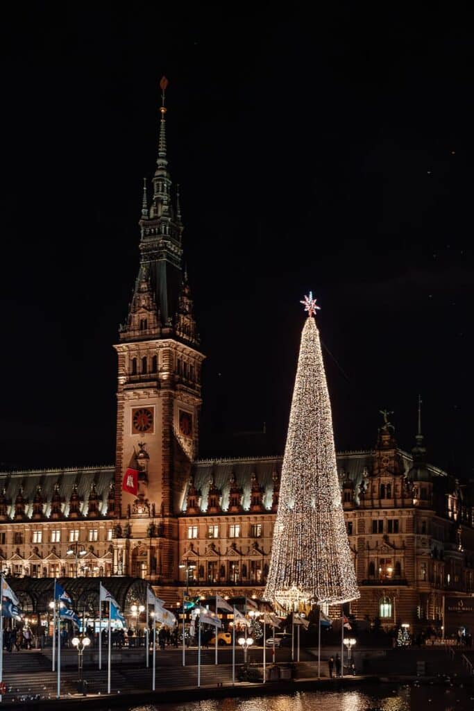 Ein großes gotisches Gebäude ist nachts beleuchtet und verfügt über einen hohen Turm und eine Uhr. Davor steht ein großer, mit Lichtern geschmückter Weihnachtsbaum, gekrönt von einem Stern. Im Vordergrund ist eine Reihe von Fahnenmasten entlang des Wassers zu sehen, die die festliche Atmosphäre verstärken.