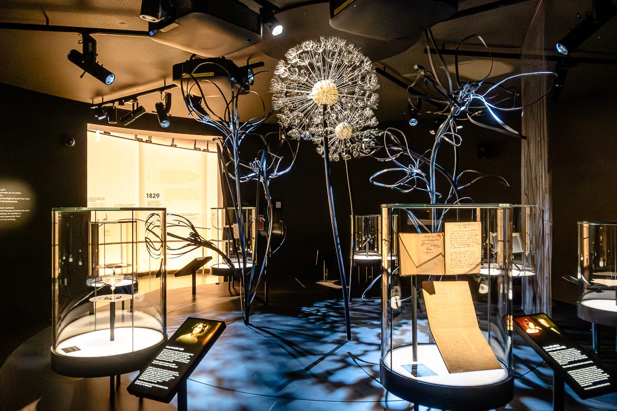 Eine moderne Museumsausstellung zeigt große, stilisierte Löwenzahn-Skulpturen aus Metall, die von Hans Christian Andersen inspiriert sind und in einem dunklen Raum beleuchtet werden. In Glasvitrinen sind historische Dokumente und Artefakte ausgestellt, mit Informationstafeln und heller Beleuchtung.