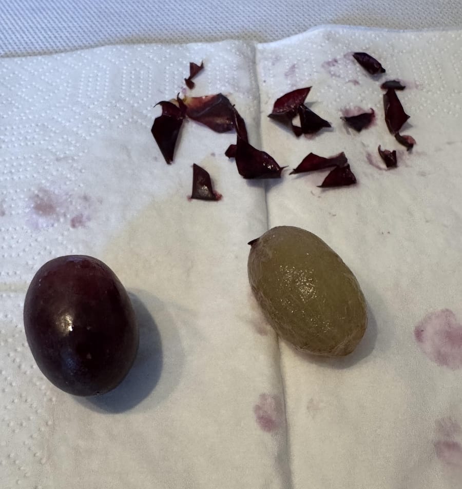 Zwei Trauben liegen auf einer weißen Serviette; die linke Traube hat ihre violette Schale, während die rechte Traube geschält ist - ein Bild aus der WSET® Level 1 Verkostung. Teile der Traubenhaut und leicht violette Flecken sind über der Serviette verstreut.