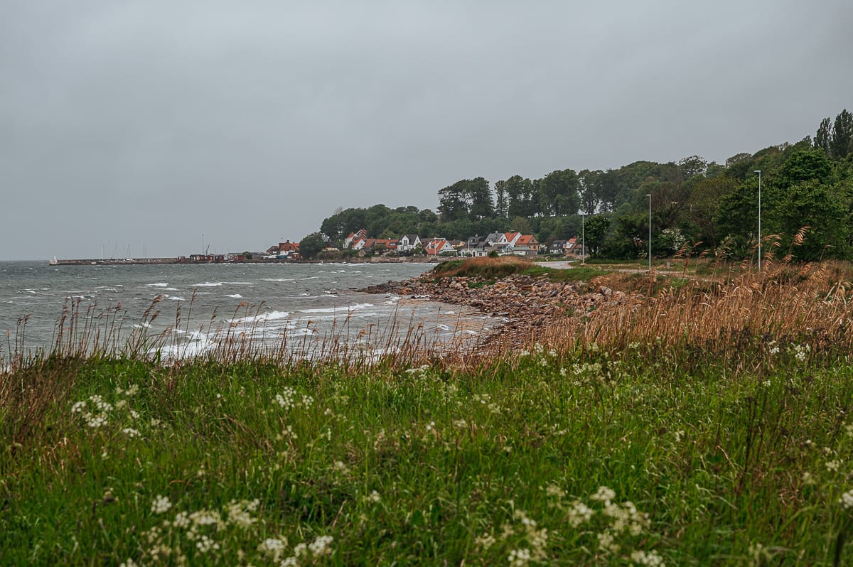 Eine wolkenverhangene Küstenszene in der Nähe von Landskrona zeigt kabbelige Wellen, hohes Gras und Wildblumen im Vordergrund, eine felsige Küste und ein kleines Küstendorf mit roten Dächern und Bäumen entlang der Küste.