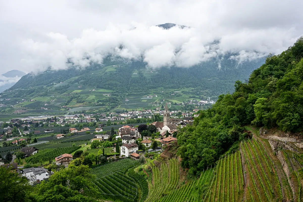 Ein üppig grüner Weinberg an einem Hang in Algund überragt ein kleines Dorf mit vereinzelten Häusern, einer Kirche und gewundenen Straßen. Dichte Bäume säumen den Weinberg. Im Hintergrund sind nebelverhangene Berge teilweise von tief hängenden Wolken verdeckt. Die Kulisse ist friedlich und ländlich.